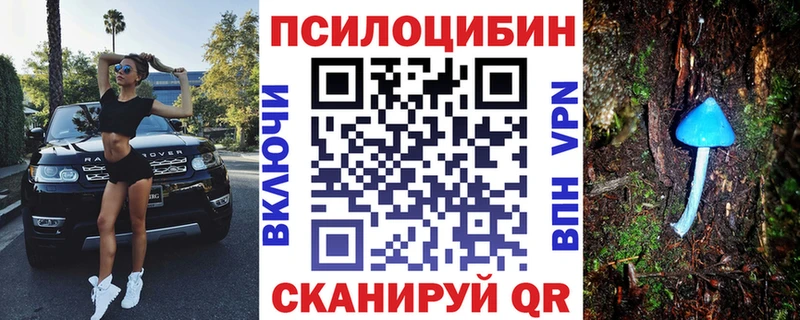 Галлюциногенные грибы ЛСД mega маркетплейс Грязовец
